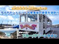 ハワイの今【ワイキキトロリー】東海岸の絶景を巡るブルー/グリーンラインに乗車！車窓からのダイヤモンドベッド、海岸線、シーライフパーク、カハラモールなど観光スポットをお楽しみください！