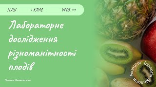 картинка: Лабораторне дослідження будови плоду