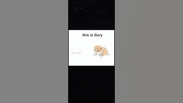 Thanks Gary! #shorts #meme #voiceover #voiceactor #memes #relatable #mood #asmr #real #vo #va #gary