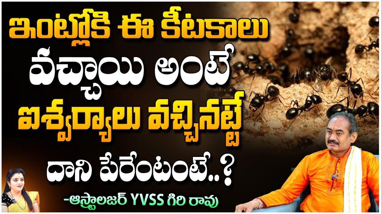 Astrologer YVSS Giri Rao - ఇంట్లోకి ఈ కీటకాలు వచ్చాయి అంటే | Kuppa Padmini