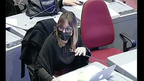 Come sono composte le Commissioni parlamentari?