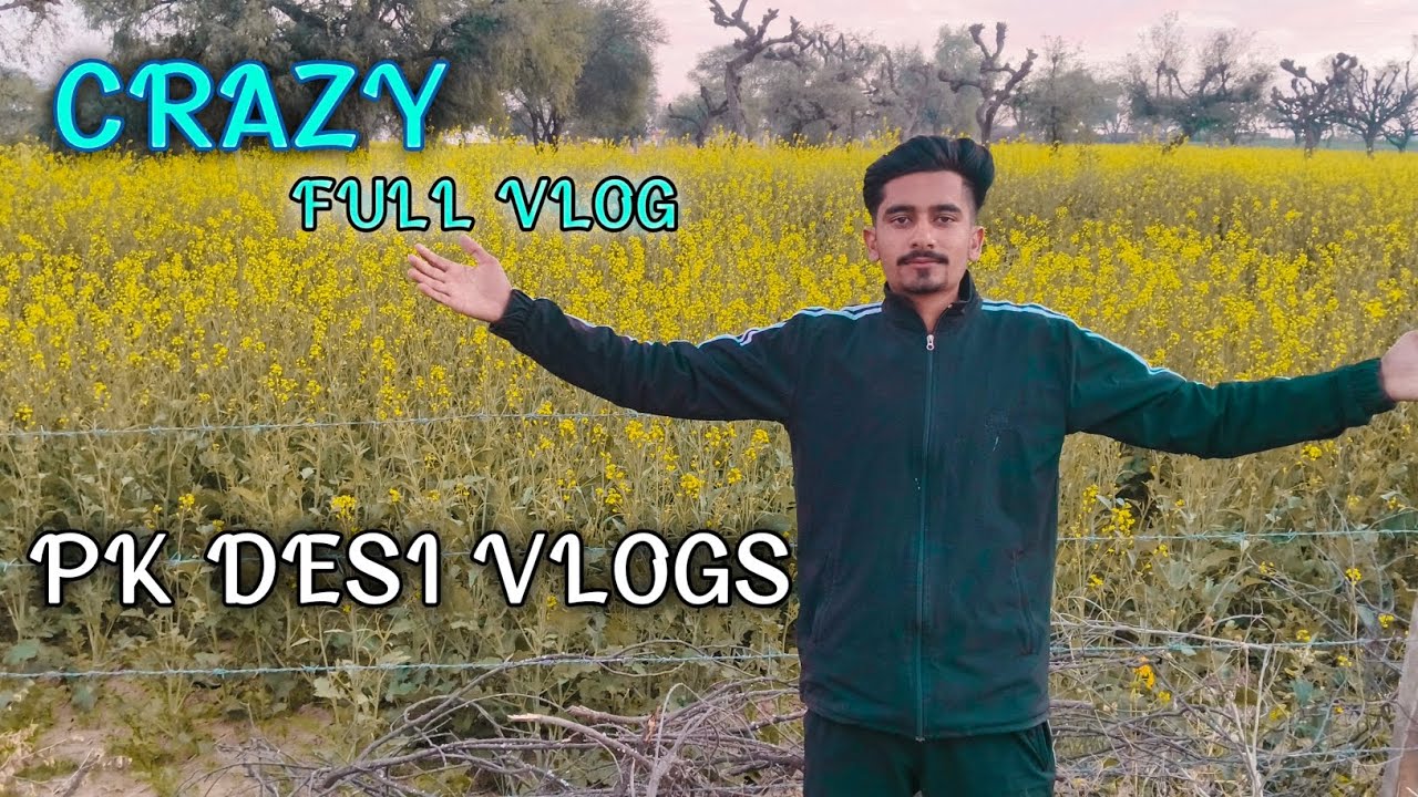 CRAZY VLOG PK DESI VLOGS 