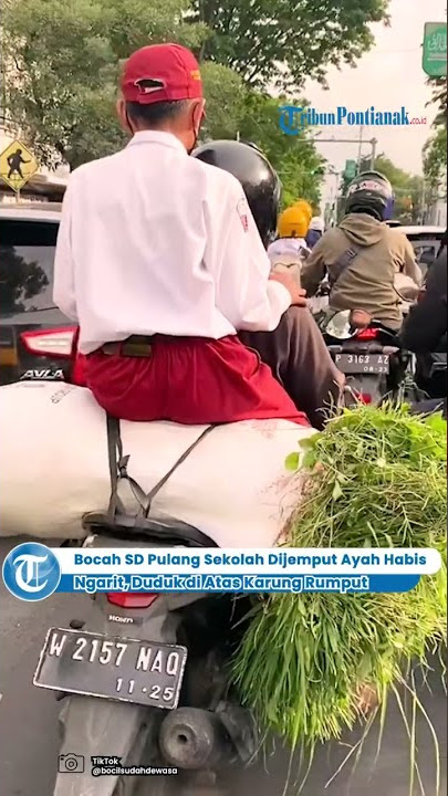 ®️🔴 Bocah SD Pulang Sekolah Dijemput Ayah Habis Ngarit, Duduk di Atas Karung Rumput