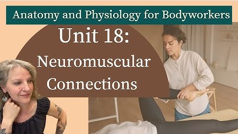 A & P Unit 19: Neuromuscular Therapy | Reflexes, Trigger Points, & Treatment Techniques | MBLEx Prep