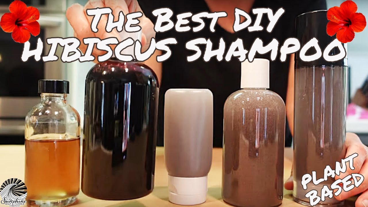 HOW TO MAKE SHAMPOOHIBISCUS SHAMPOO DOES WONDERS FOR DRY HAIR! YouTube