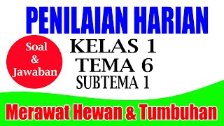 SOAL PENILAIAN HARIAN KELAS 1 TEMA 6 SUBTEMA 1