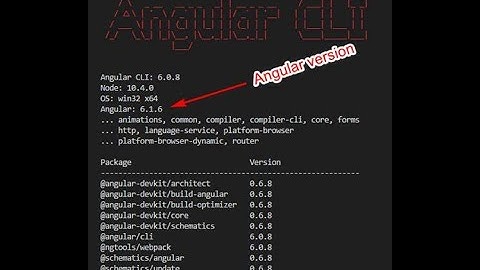 How to Check Angular Version using Command Line