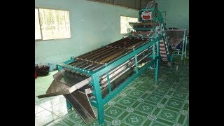 Cashew Nut Kernel Classify Sorting Machine |  WhatsApp +84 908635704 | cashew.ttq@gmail.com