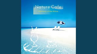 Harmony of Ocean Waves 74 min. #9