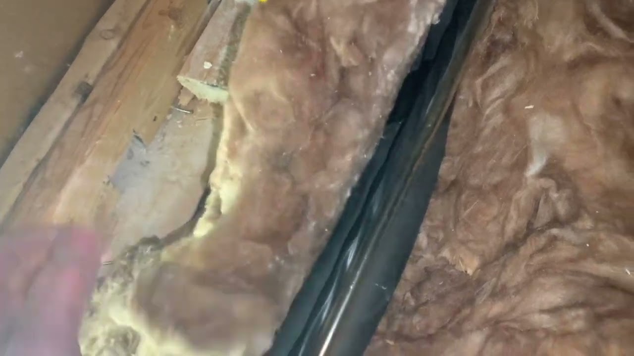 Humidité et pourriture au mur mitoyen la cause la plus courante.