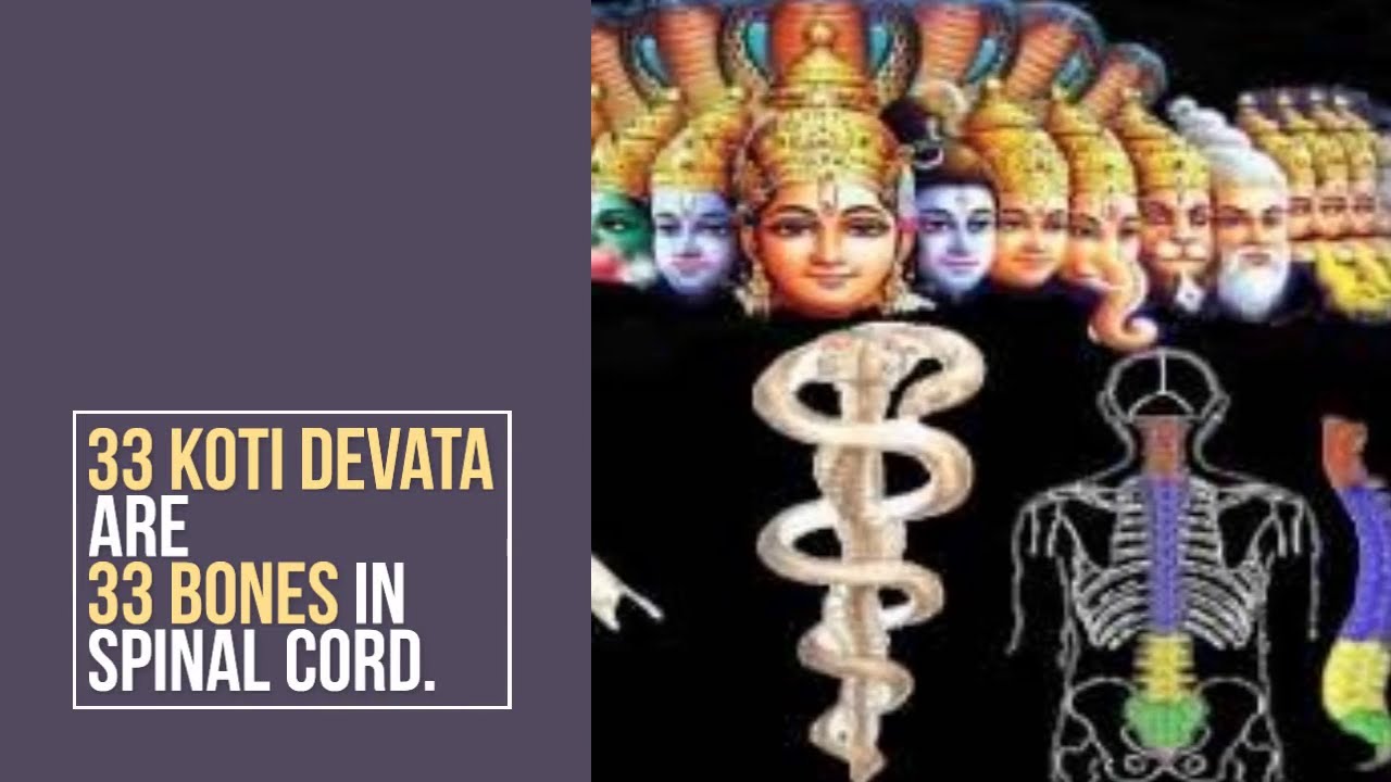 33 Koti Devata are 33 Bones in Spinal Cord (Vertebrae) #sanatandharma # ...