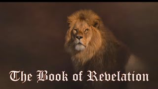 The 144,000 on Earth (Rev. 7:1-8)