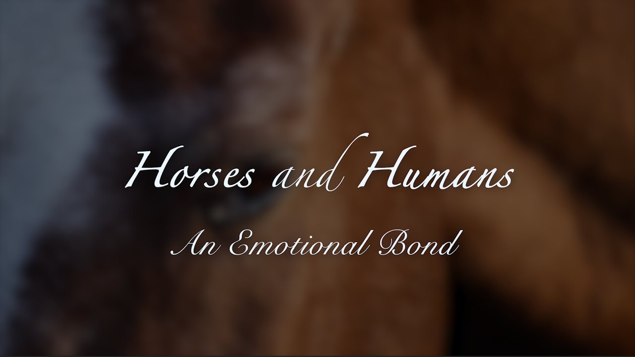 Horses and Humans: An Emotional Bond