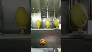 Peeling Machine For Mango Fruits Peeling Machine