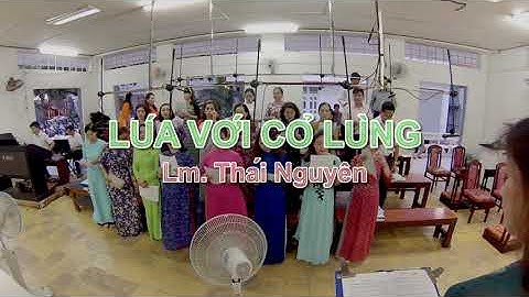 LÚA VỚI CỎ LÙNG - Lm. Thái Nguyên