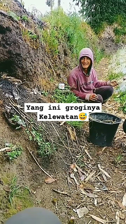 THEY'RE GROGIN' LATE😅🤭