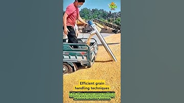 Efficient grain handling techniques- Good tools and machinery can increase work efficiency