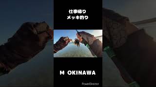 仕事帰り癒しのメッキ釣り🎣🐟
