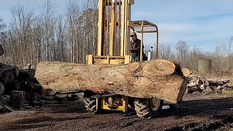 #49 Sawmills AVOID These 100-year-old Logs with Hidden Gold