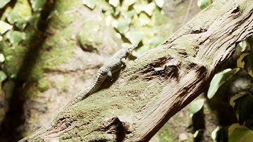 Unreal Engine 5.1 Terrarium