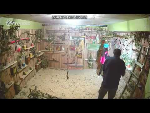 186 - ე სკოლა - საკონკურსო