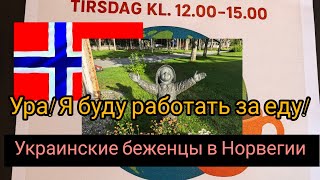 видео: магазин кафе и супчик готовлю 🇧🇻 картинка: магазин кафе и супчик готовлю 🇧🇻
