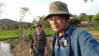 Đợt cấy lúa cuối cùng của vụ đầu tiên của trang trại 2Q || 2Q Vlogs Cuộc sống Châu Phi