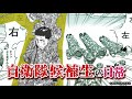 【作品紹介動画