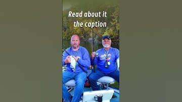 Spider Rigging in the Fall