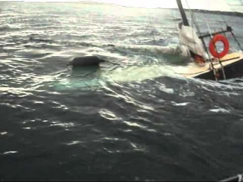 sailing a sunfish, small sailboat & light wind - youtube