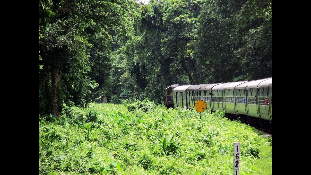 dooars tour in monsoon