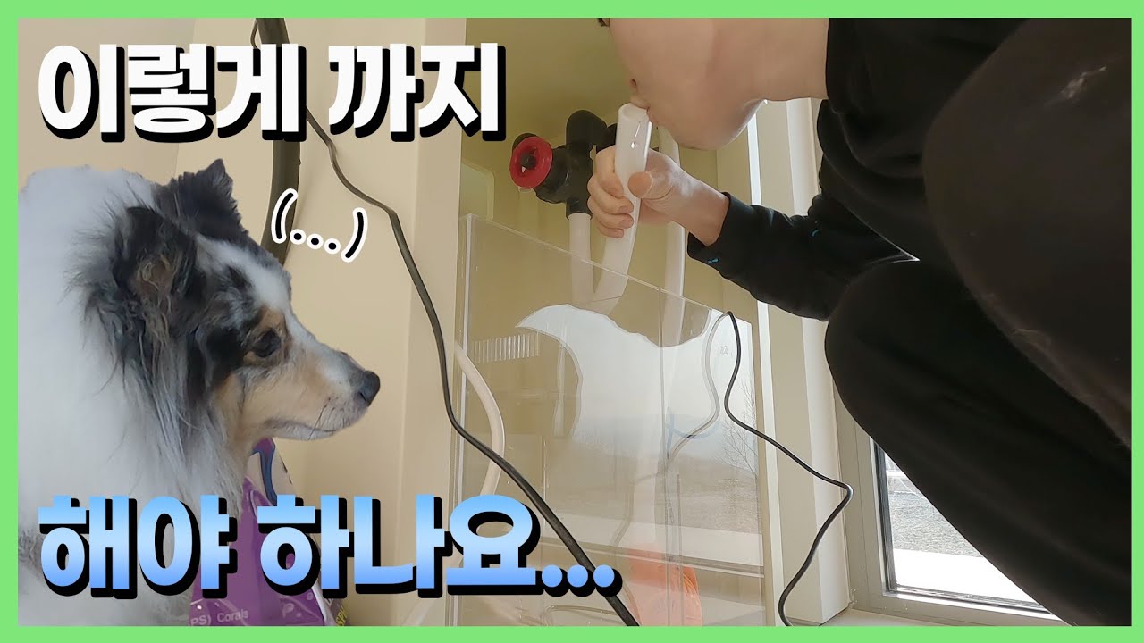 산골짜기에 바다를 만들겁니다!!!! 