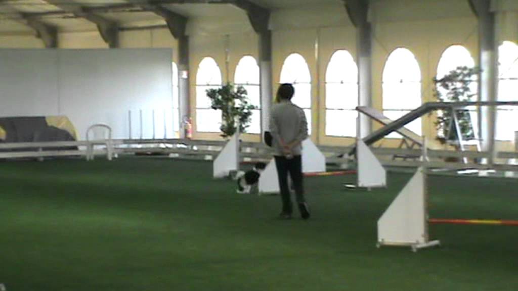 riri jumping YouTube