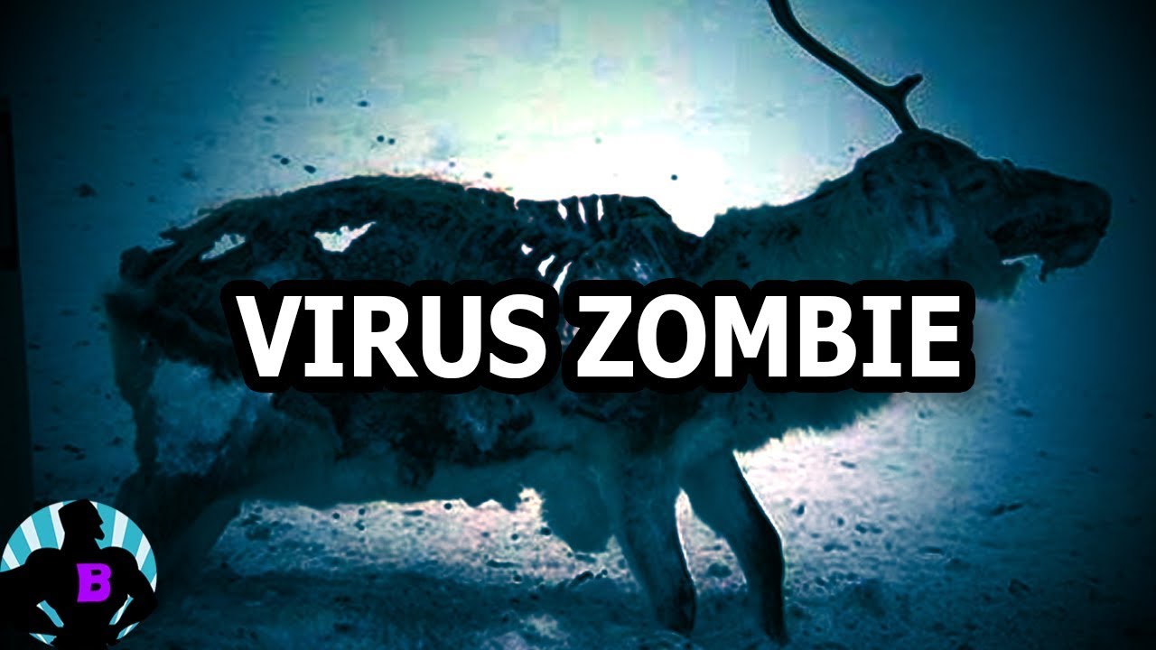 CIERVOS ZOMBIES: 3 Misterios Más Escalofriantes Que involucran a Animales