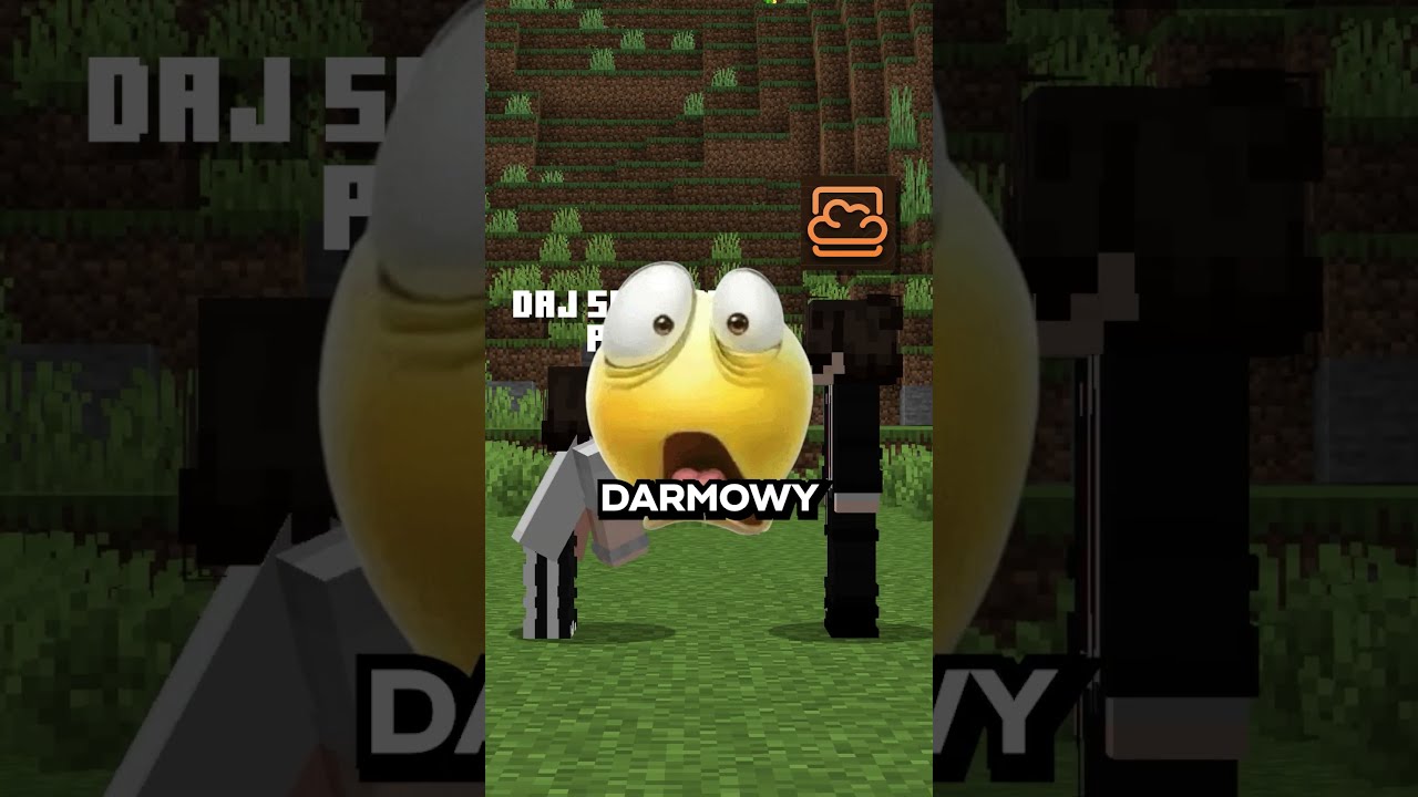 Jesteś YouTuberem Minecraft? Ten hosting może Ci się przydać! 🎥⛏️
