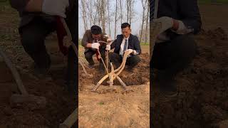 White-Collar Workers Try Farming 💼🚜 | When Engineers Go to the Field!When Office [ Parts  :- 69 ]