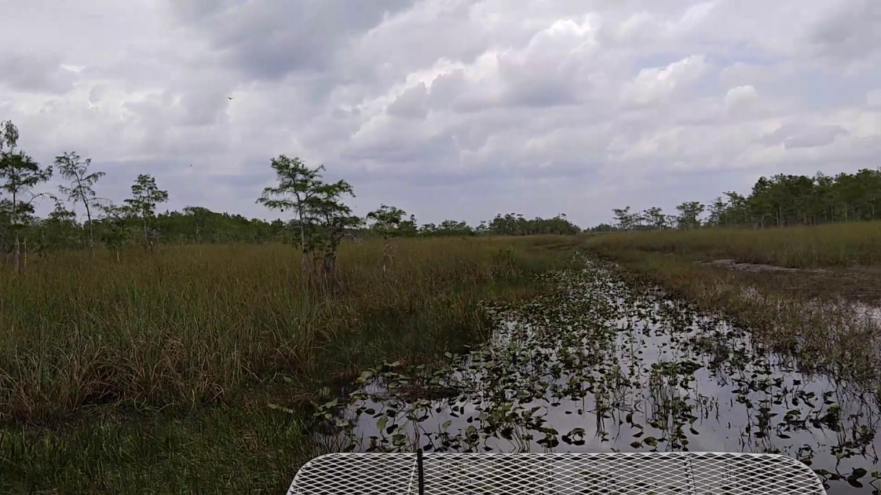 Big Cypress airboat ride - YouTube
