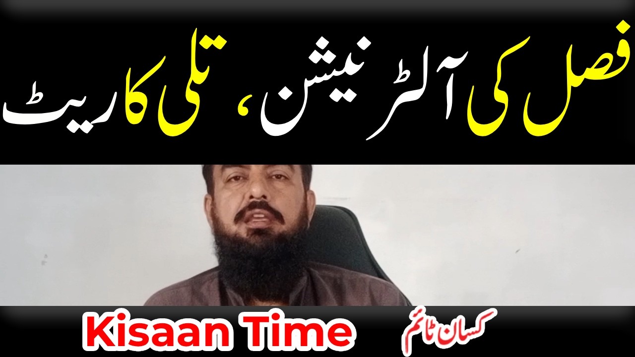crop rotation, crop rotation mandatory, importance of crop rotation kisan time کسان ٹائم