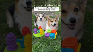 Our Corgis’ Favorite Interactive Dog Toys #corgi #dogs #dogtoys