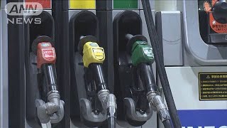 エネルギー41年ぶり記録的上げ幅　消費者物価5カ月連続で上昇(2022年2月18日)