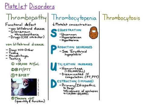 A Cause Of Thrombocytopenia Includes Quizlet
