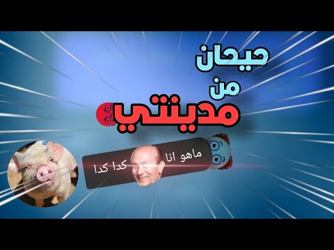 فيديو: كشف سوبتشاك من لعب فيسوتسكي