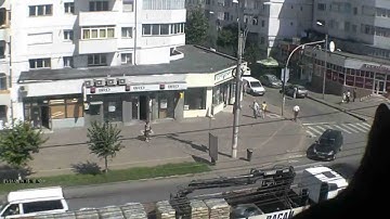 Cat finding a seat in the Cinema Theatre