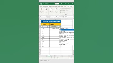 Convert Years to Hours In Excel #excel #shorts
