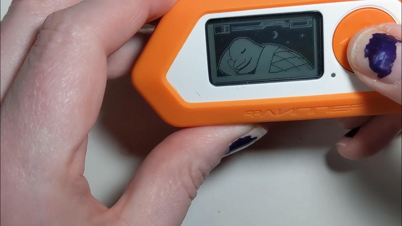 Simple GPIO demo on the Flipper Zero YouTube