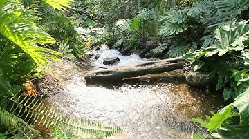 Eden Project Cornwall 2