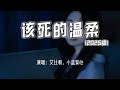 艾比利 小蓝背心 该死的温柔 2025版 你这该死的温柔 让我止不住颤抖 4k无损 动态歌词 Lyrics 