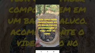 Como fazer compostagem direto no solo.
