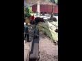 🔴 Industrial Work Diary: Bamboo Shredding Live | 24/7 Field Recording