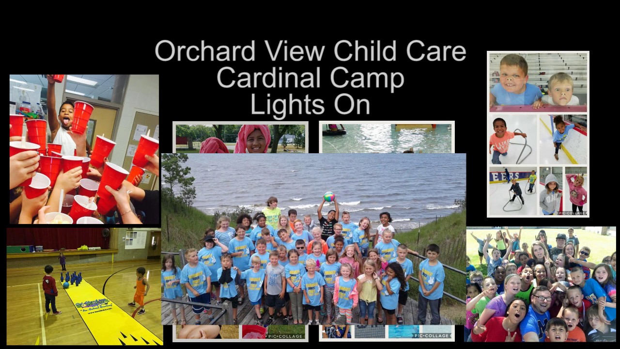 Orchard View Community Education By The Numbers 2017